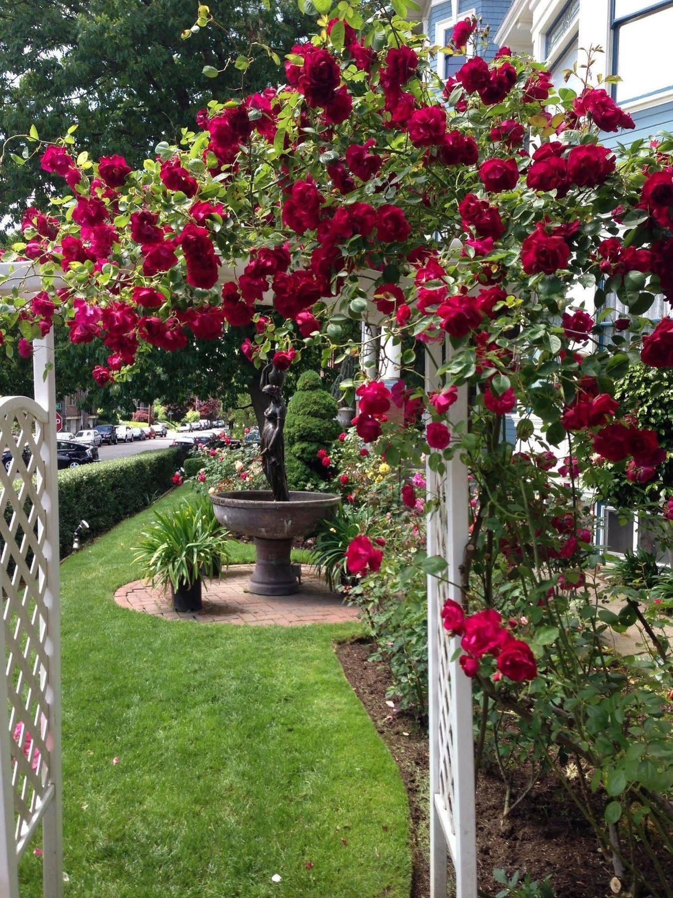 Lion And The Rose Victorian Guest House Portland Exterior photo